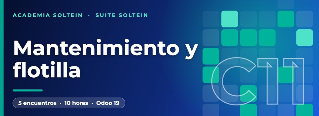 C11 - Mantenimiento y flotilla