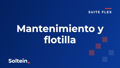 C11 - Mantenimiento y flotilla